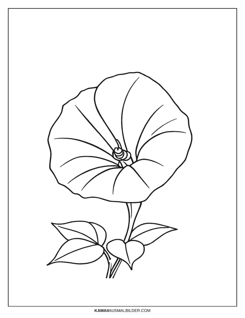 Ausmalbild Prunkwinde