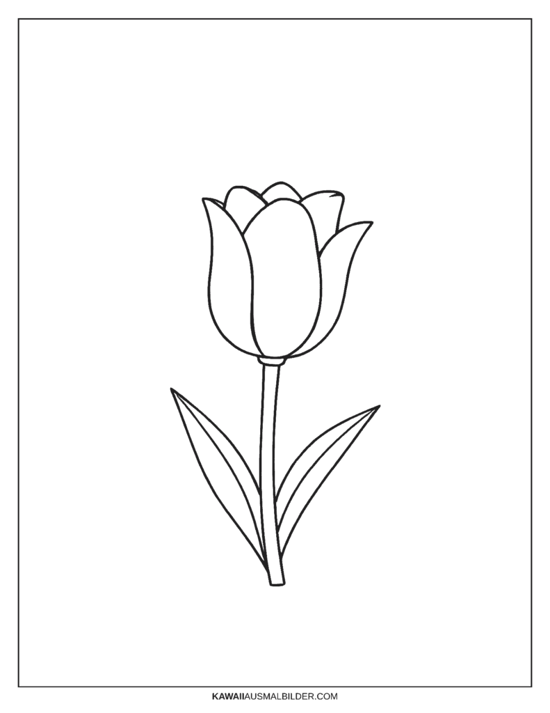 ausmalbild blumen tulpen