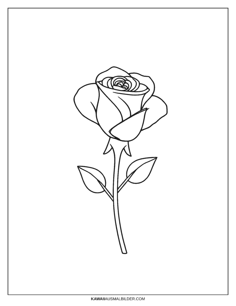 blumen ausmalbild rose