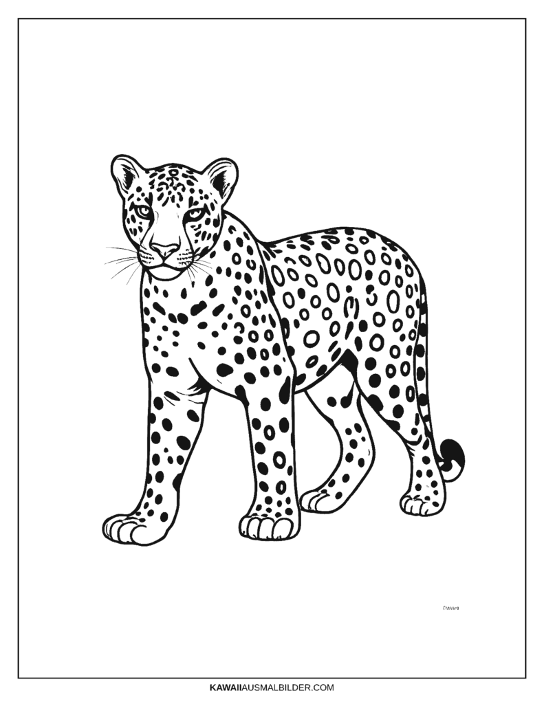 Malvorlage Leopard