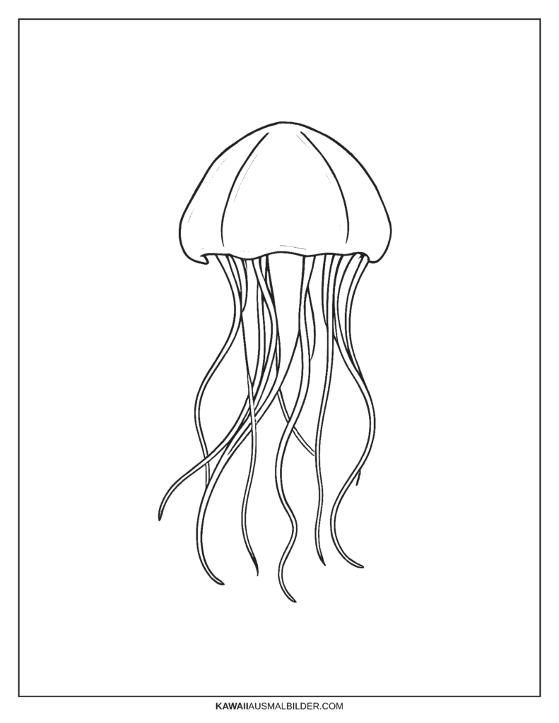 Qualle Malvorlage