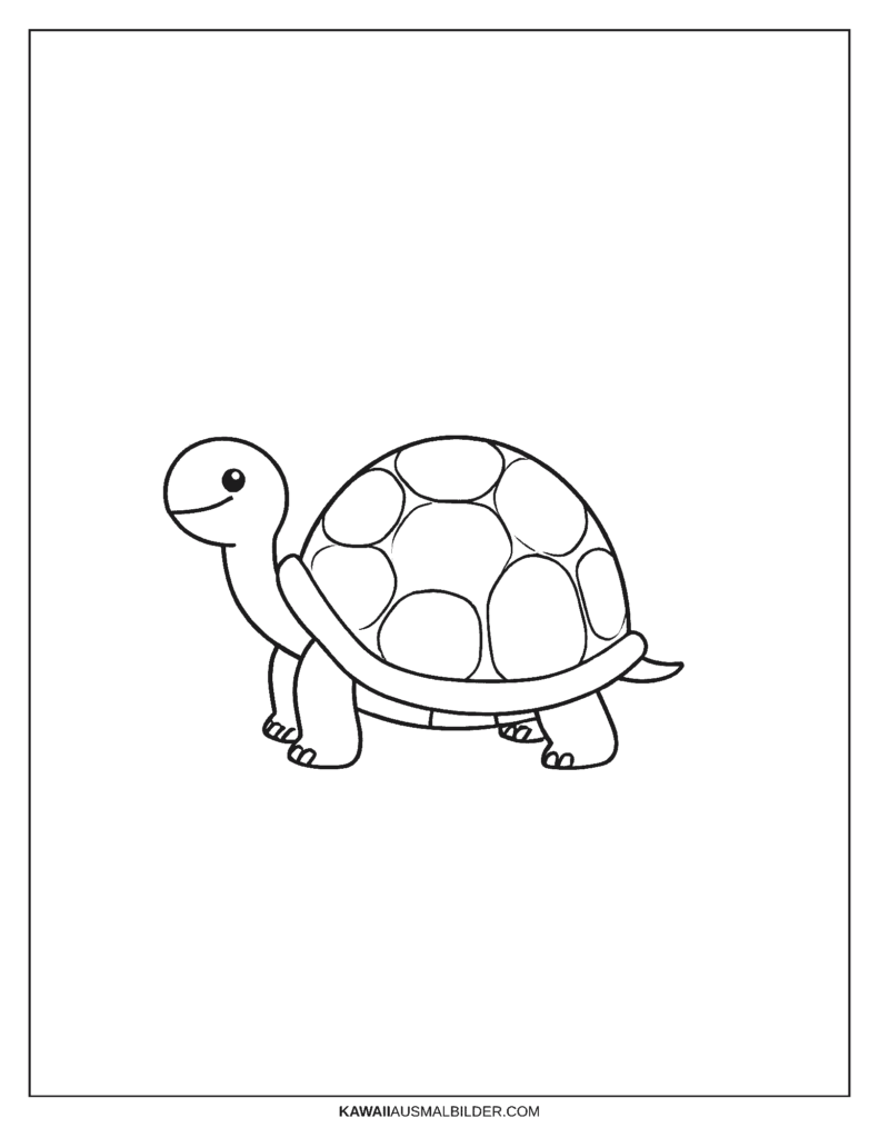 Schildkröte Ausmalbild