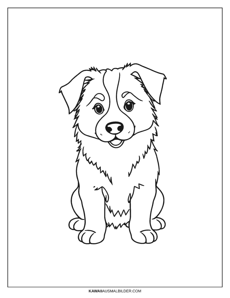 hunde ausmalbild australian shepherd